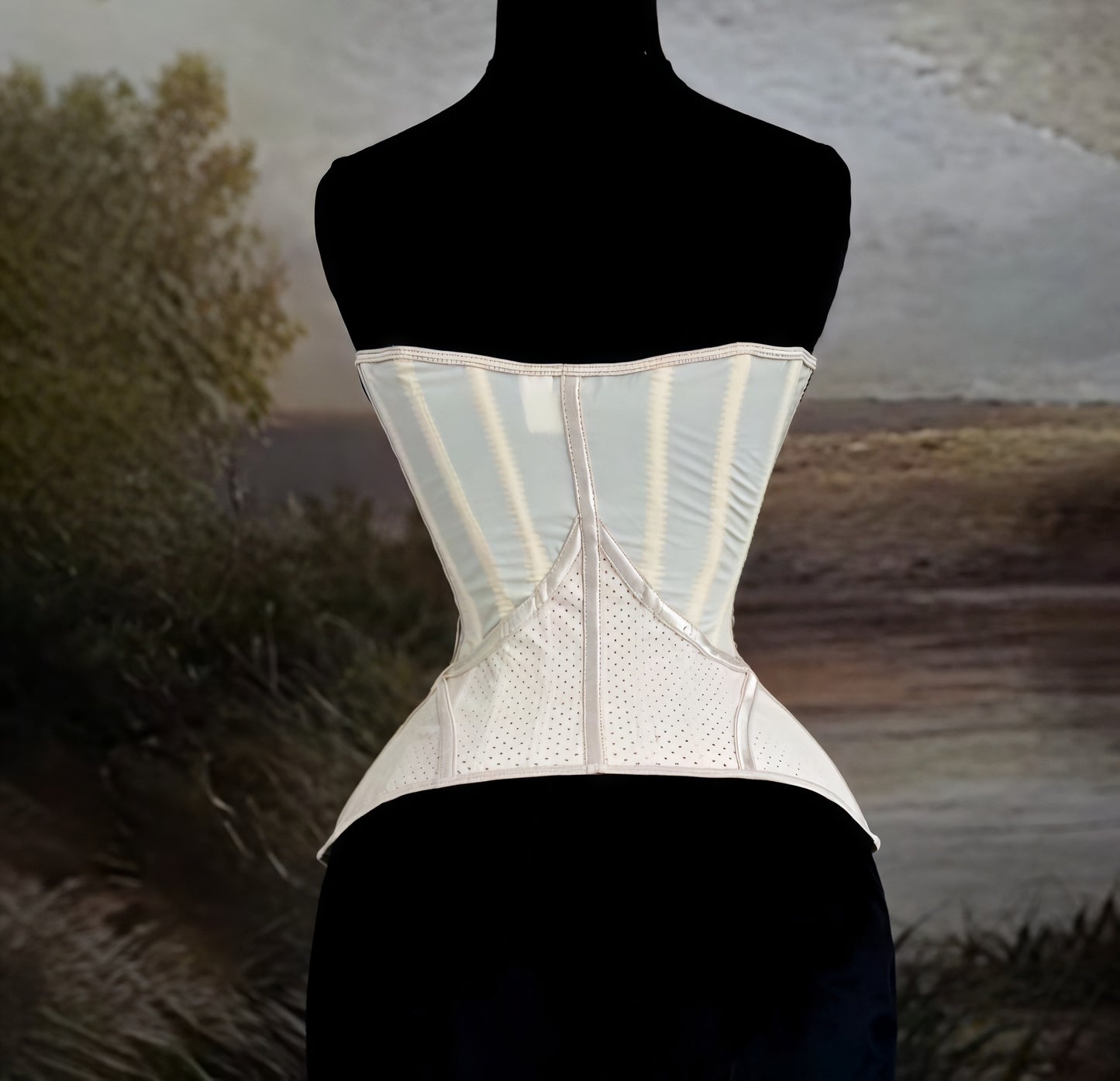 Discipline Luxe Waist Cincher