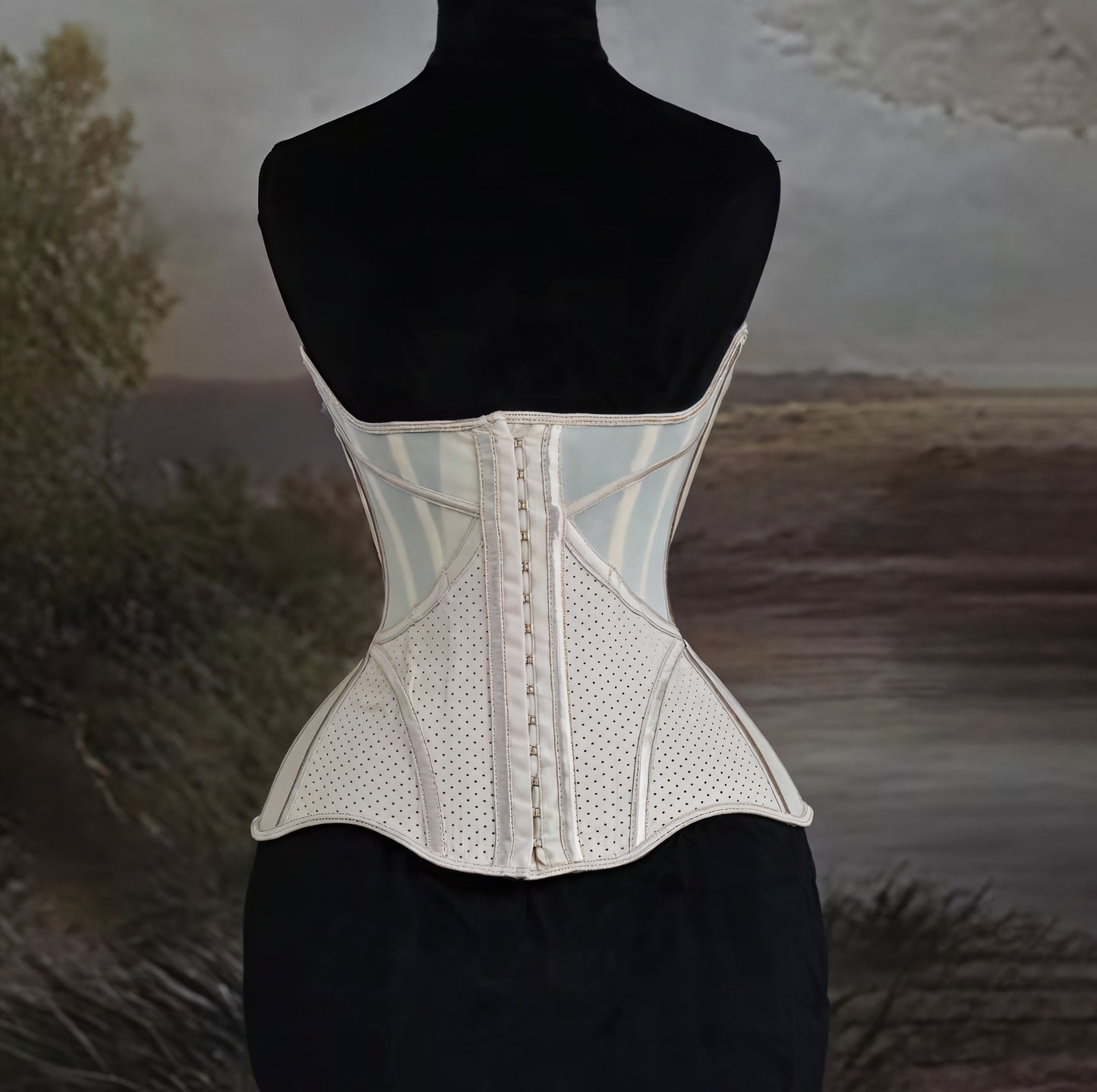 Discipline Luxe Waist Cincher