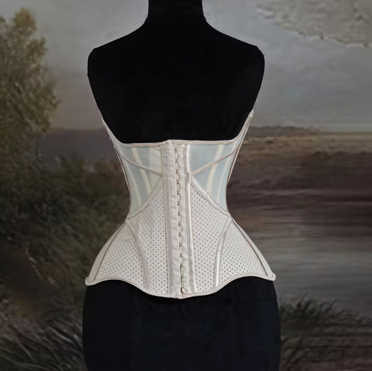 Discipline Luxe Waist Cincher