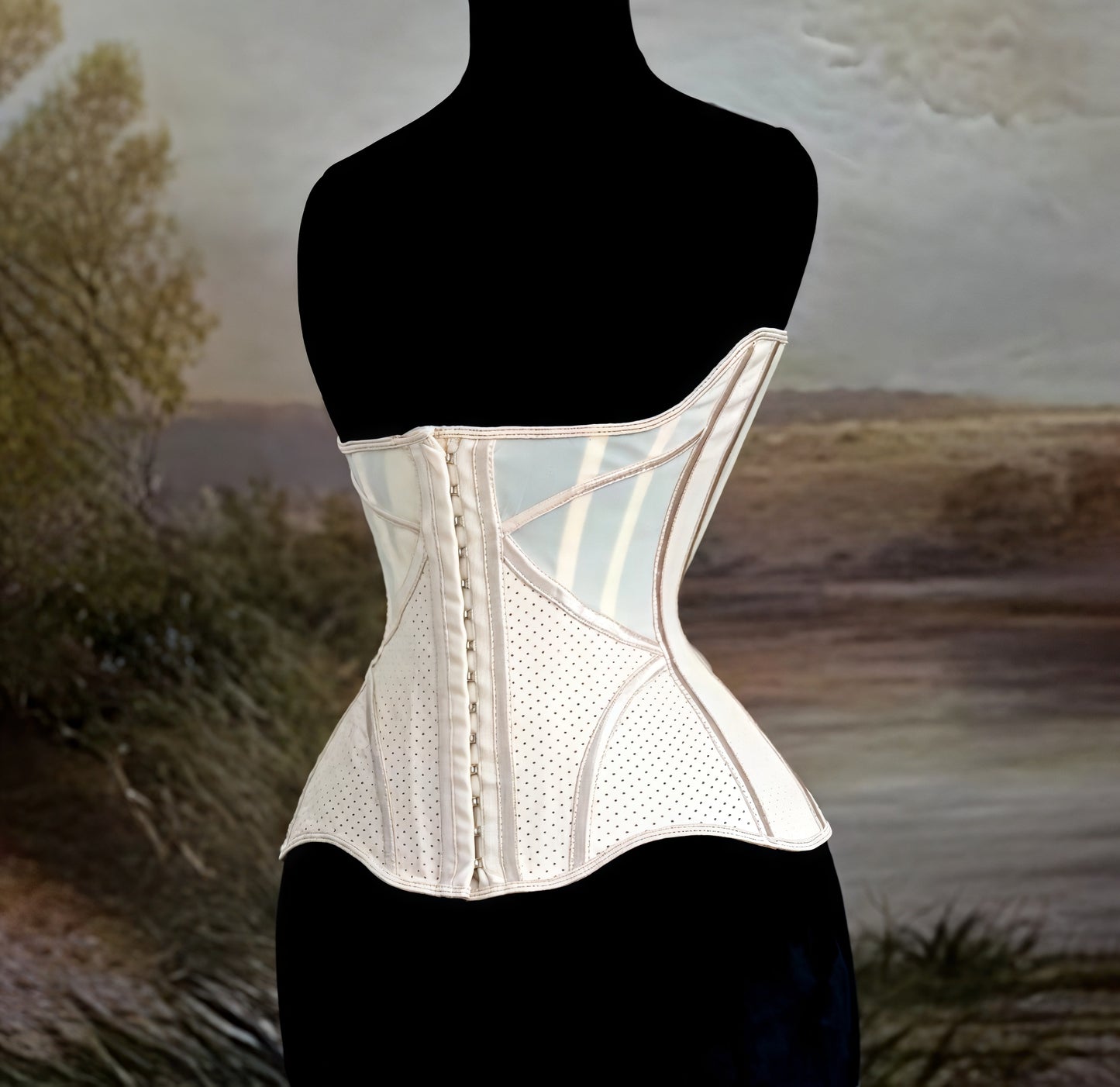 Discipline Luxe Waist Cincher