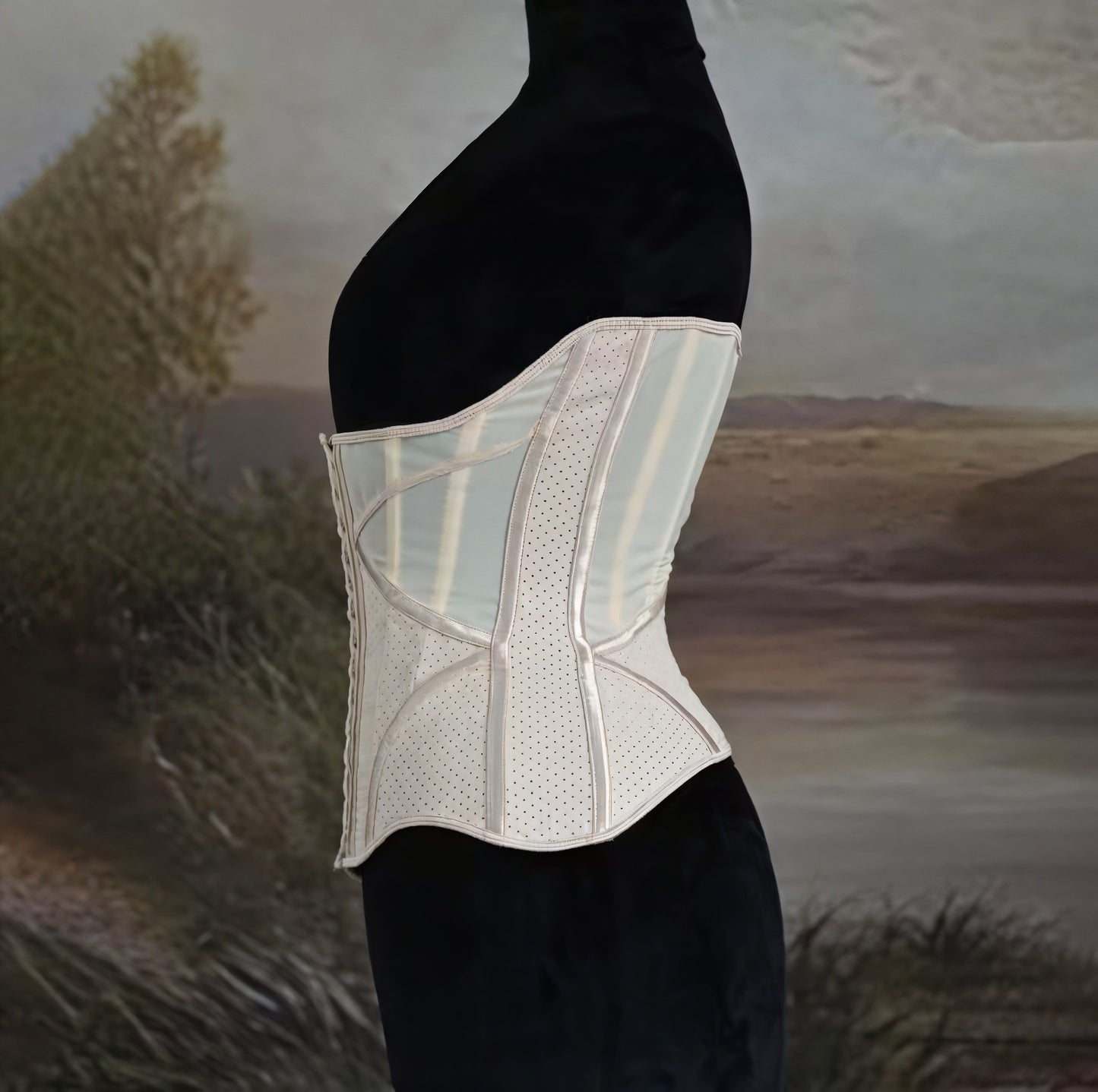 Discipline Luxe Waist Cincher