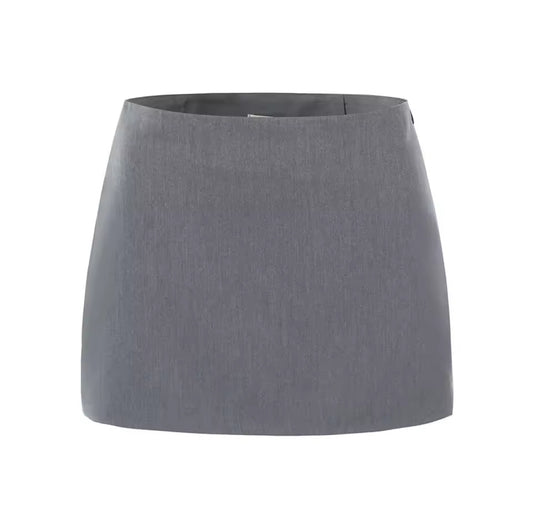Silver Rue Chic Mini Skirt